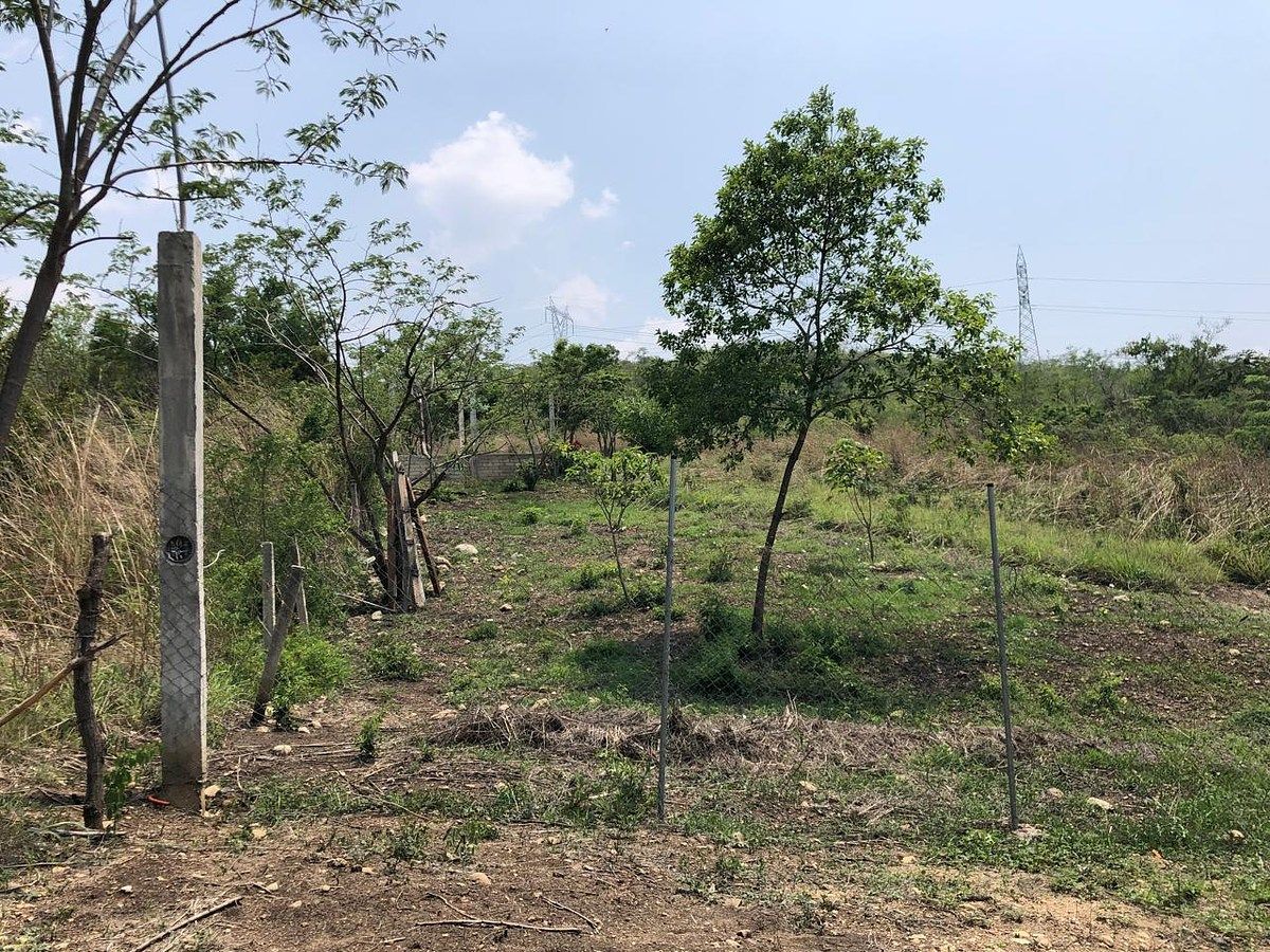 Lote em Rivera Cupia, Chiapa de Corzo, foto 14 de 30