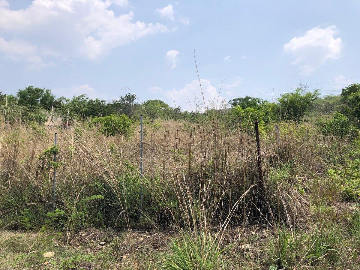 Lote em Rivera Cupia, Chiapa de Corzo, foto 24 de 30