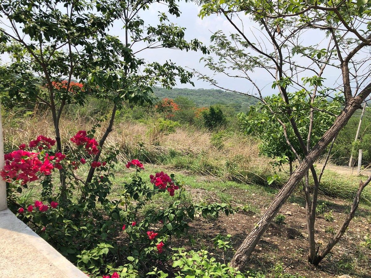Terreno à venda de 5.000 m2 muito perto da Estação de Água Cristal, foto 1 de 30