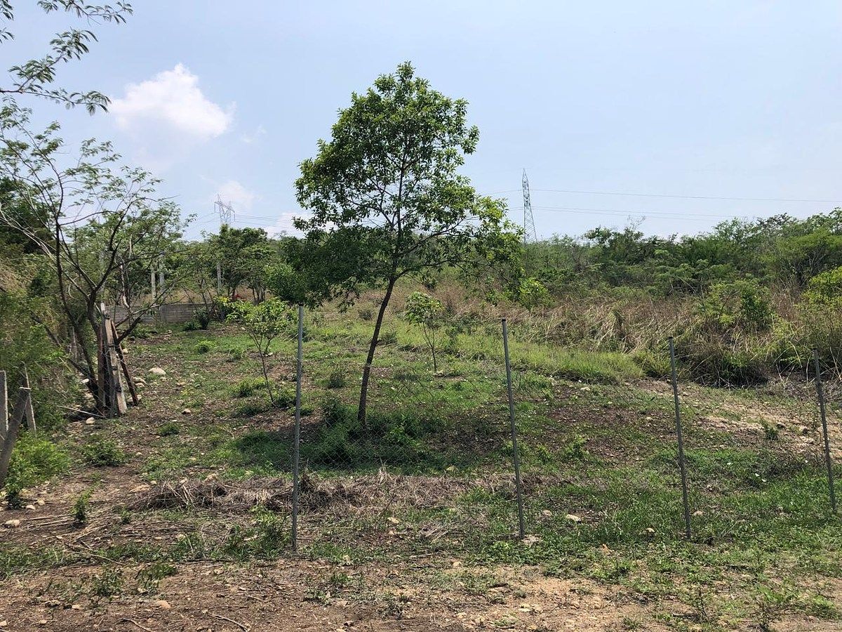 Lote em Rivera Cupia, Chiapa de Corzo, foto 20 de 30