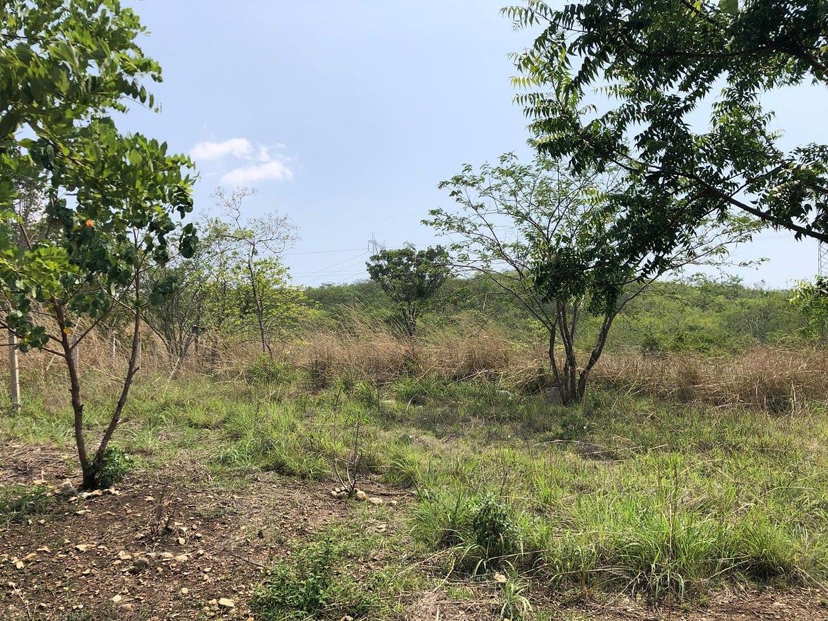 Lote em Rivera Cupia, Chiapa de Corzo, foto 21 de 30