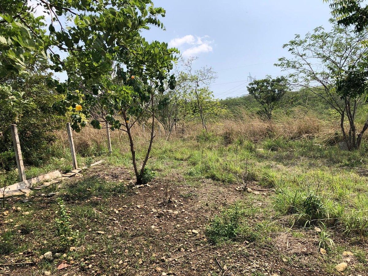 Lote em Rivera Cupia, Chiapa de Corzo, foto 22 de 30