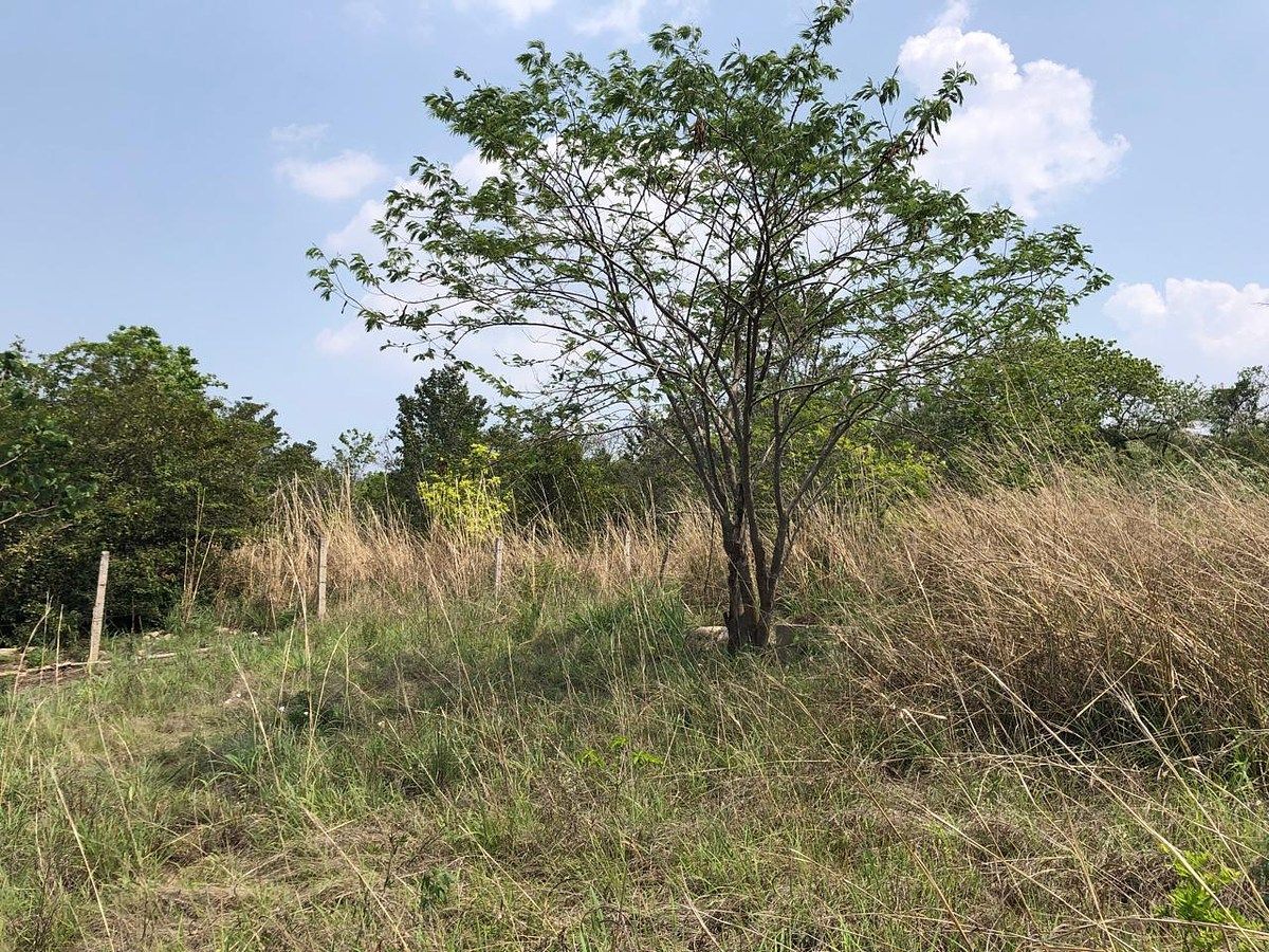 Lote em Rivera Cupia, Chiapa de Corzo, foto 23 de 30