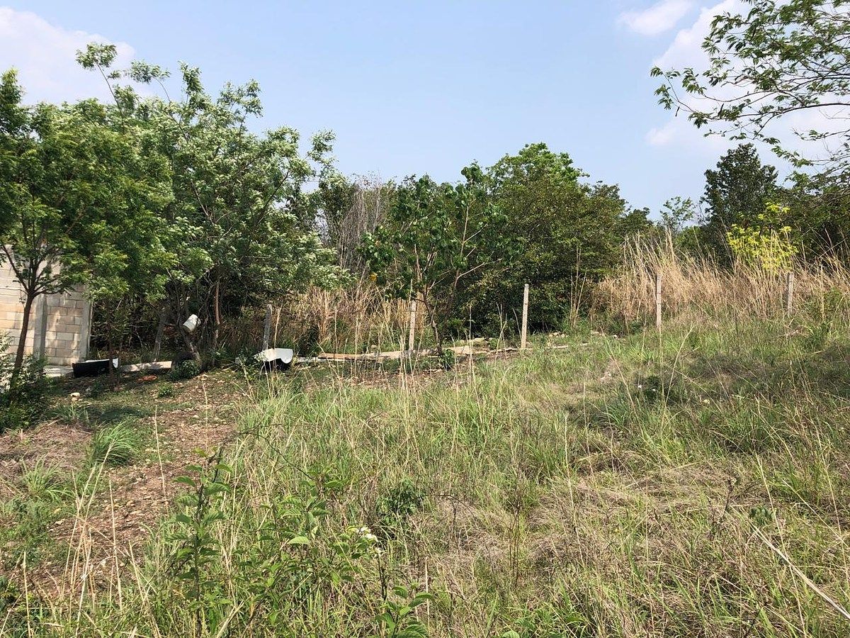 Lote em Rivera Cupia, Chiapa de Corzo, foto 26 de 30