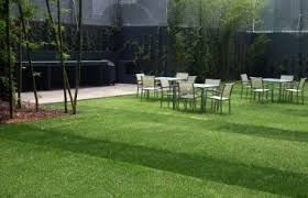 Apartment in Lomas de Reforma, Miguel Hidalgo, photo 13 of 13