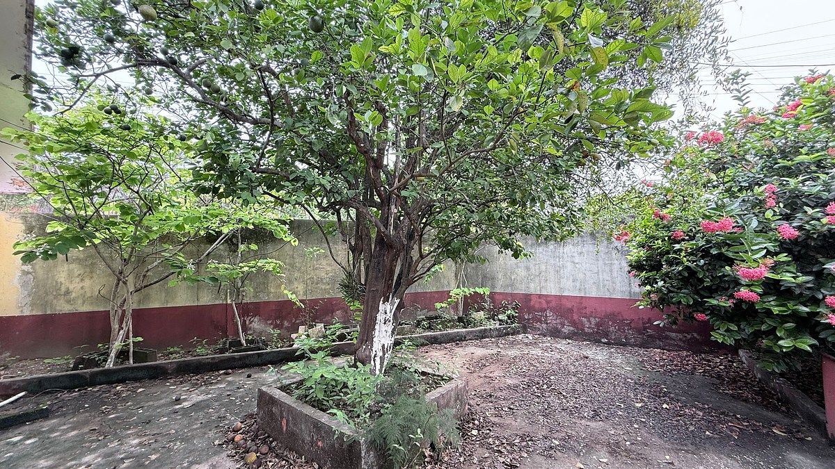 House in Palizada Centro, Palizada, photo 9 of 13