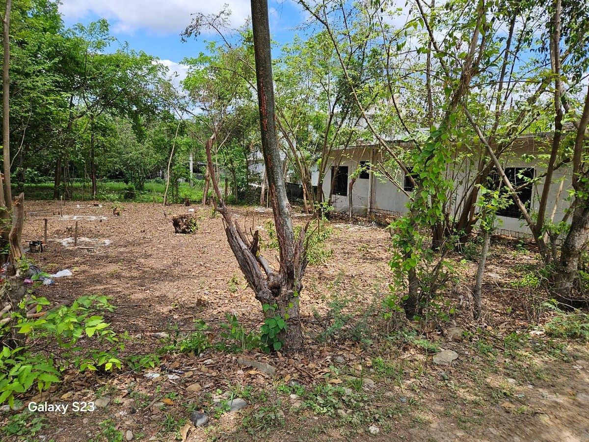 Lot in Atlapexco Centro, Atlapexco, photo 4 of 7