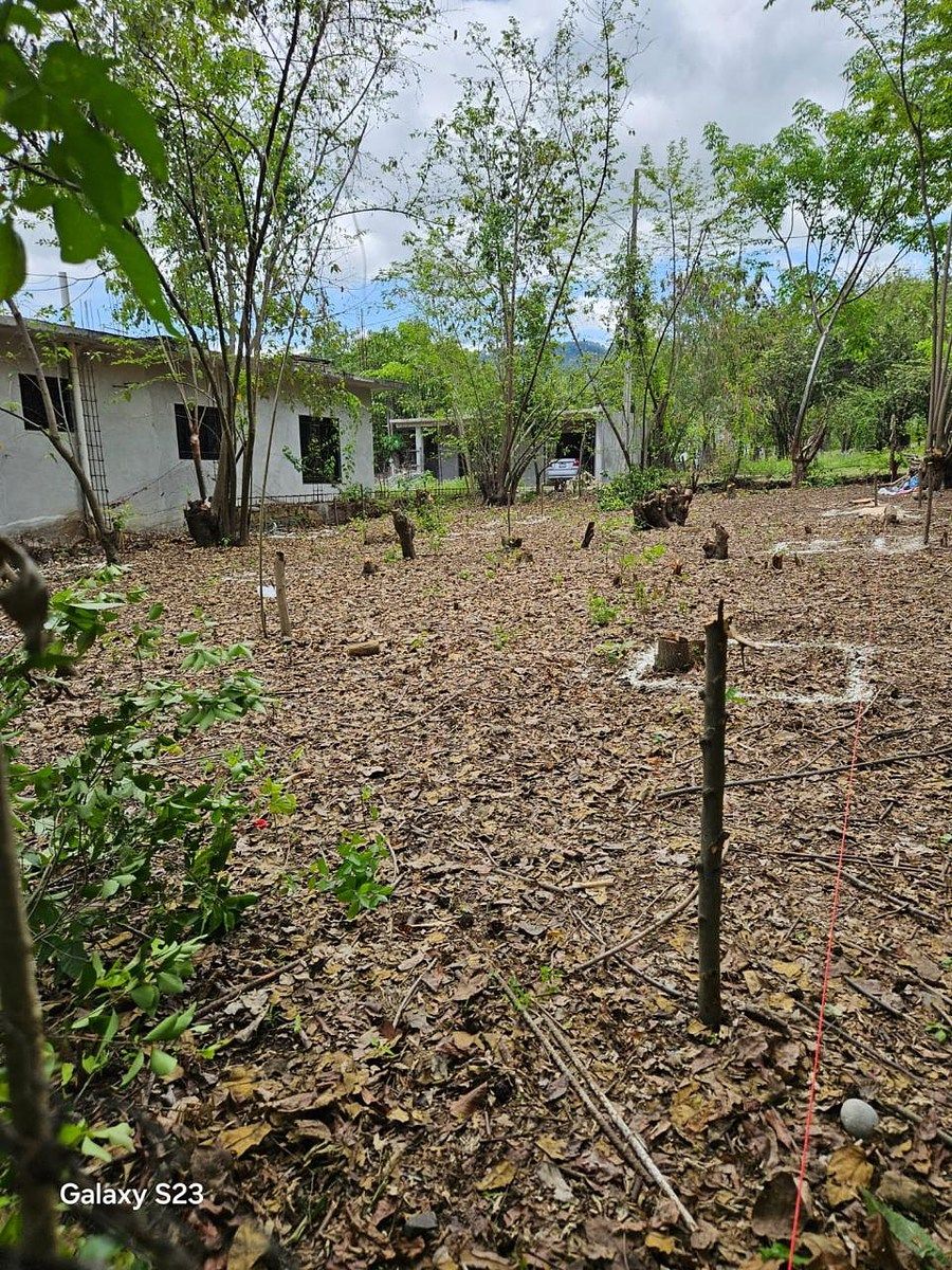 Lot in Atlapexco Centro, Atlapexco, photo 6 of 7