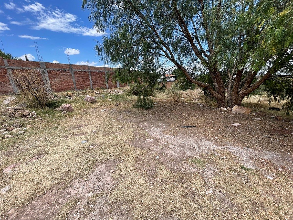 Lot in Las Margaritas, Durango, photo 3 of 6