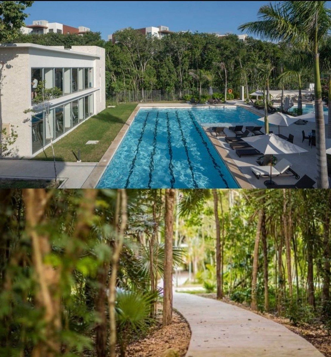 Lote em Ciudad Mayakoba, Playa del Carmen, foto 8 de 12