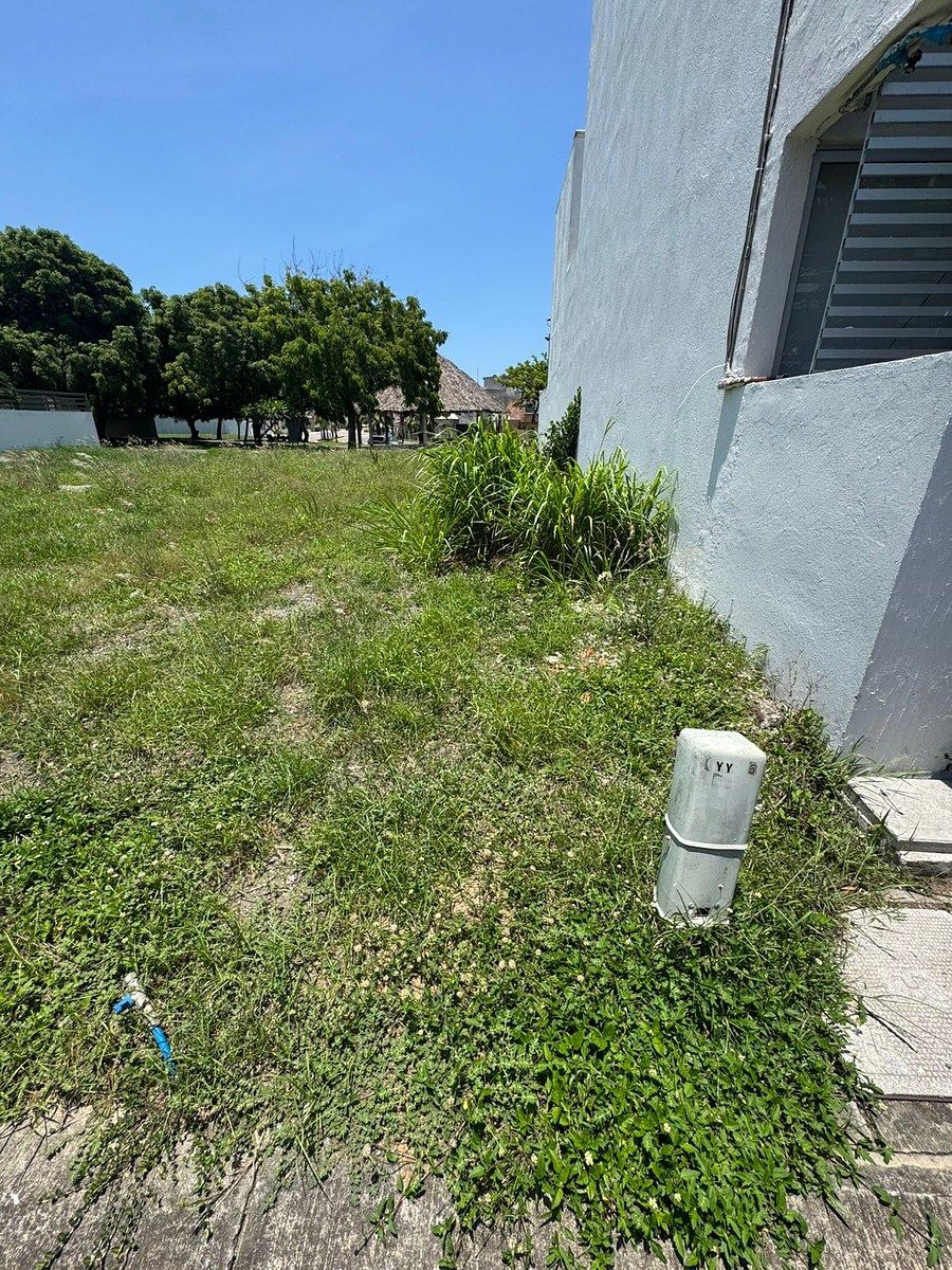 Lote em Las Lomas Residencial, Alvarado, foto 3 de 12