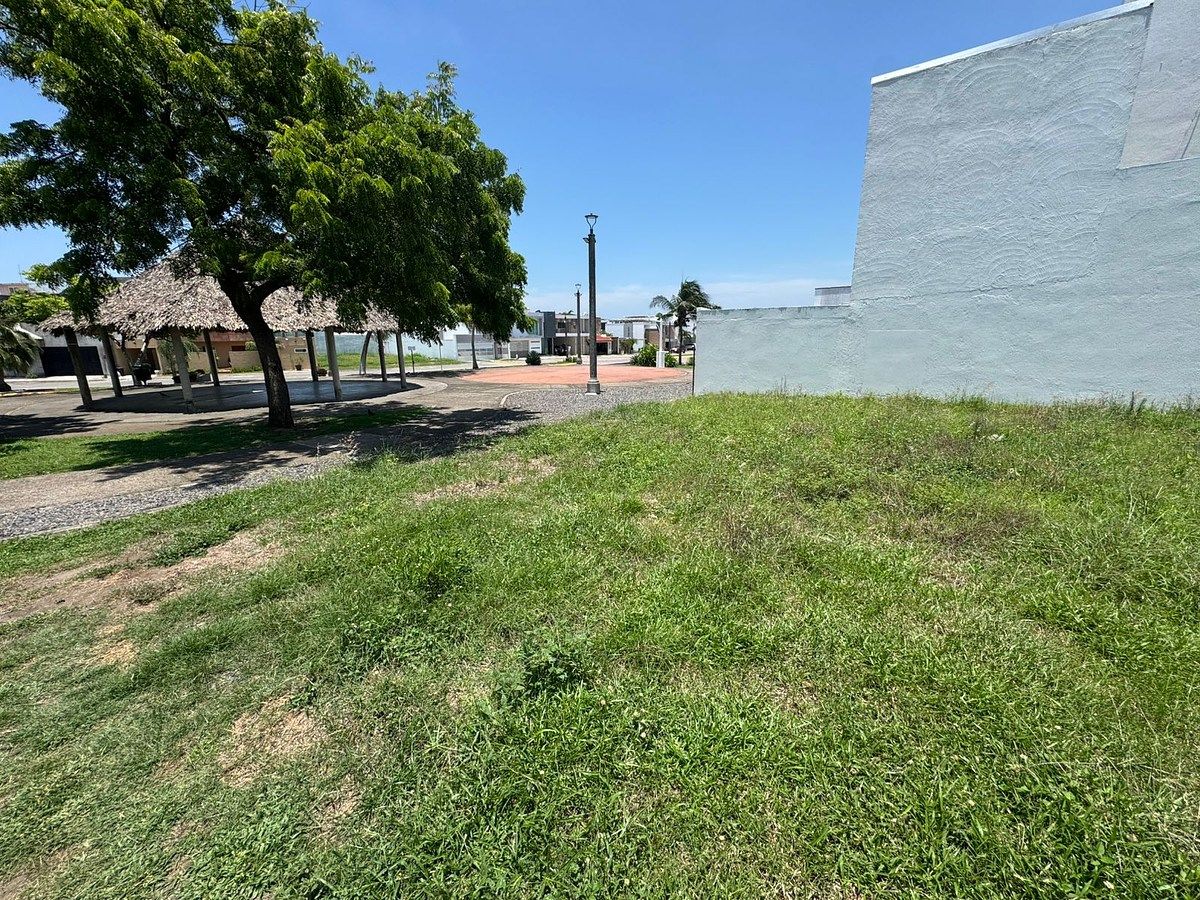 Lote em Las Lomas Residencial, Alvarado, foto 10 de 12