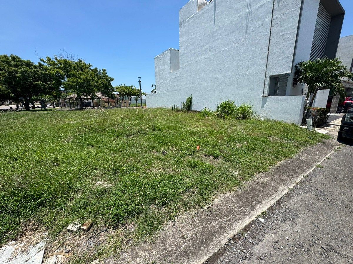 Lote em Las Lomas Residencial, Alvarado, foto 12 de 12