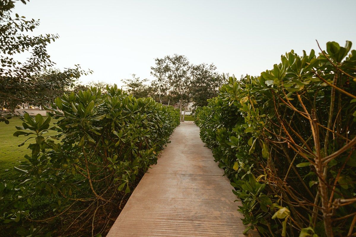 Terreno en Cholul, Mérida, foto 9 de 16