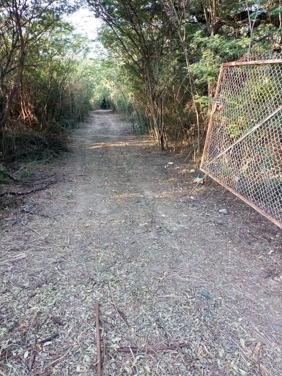 Lote em San Francisco, Santiago, foto 8 de 9
