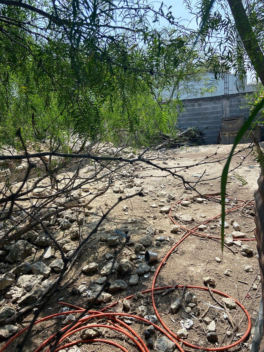 Terreno en Los Nogales, General Escobedo, foto 6 de 7