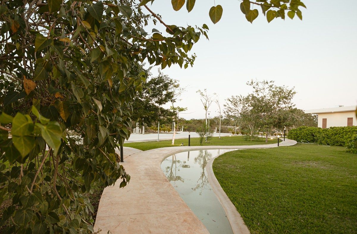 Lote em Cholul, Mérida, foto 15 de 30