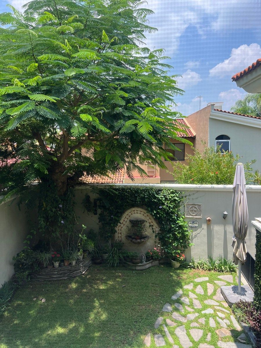 Apartment in Valle Real, Zapopan, photo 11 of 17
