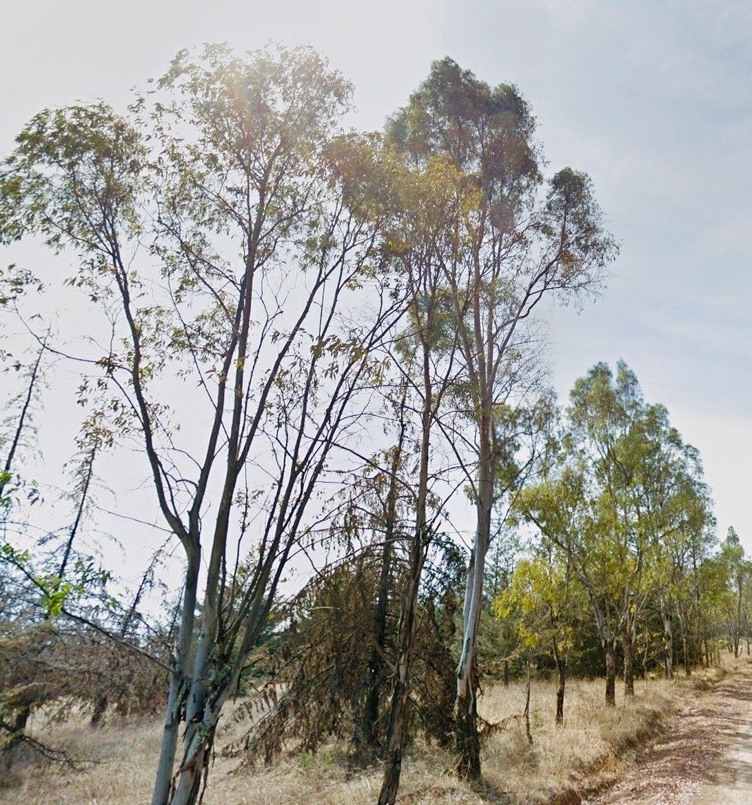 Terreno en San Miguel Dehetí, Amealco de Bonfil, foto 15 de 24