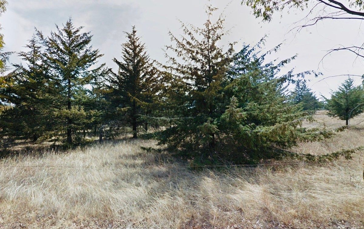 Terreno en San Miguel Dehetí, Amealco de Bonfil, foto 16 de 24