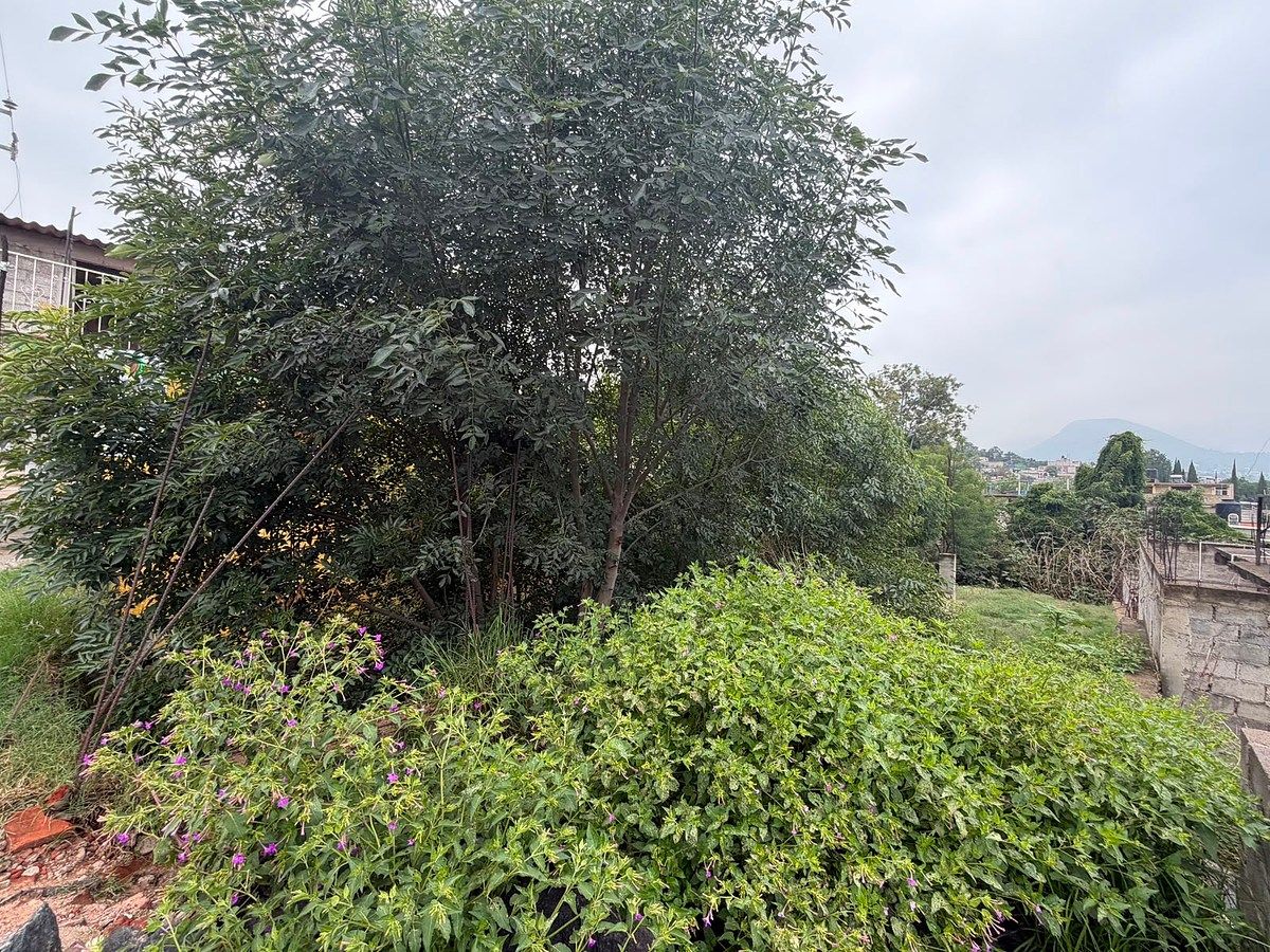 Terreno en San Mateo Tezoquipan Miraflores, Chalco, foto 6 de 12
