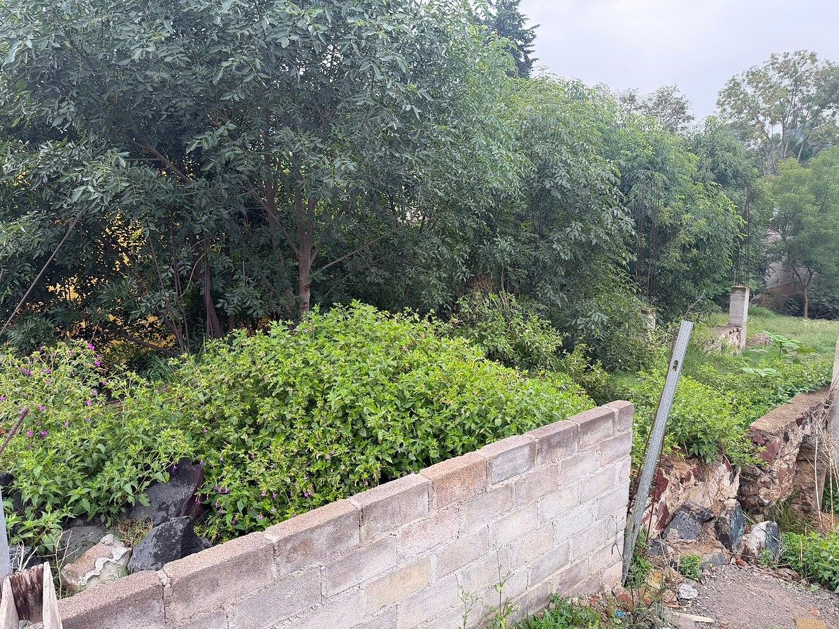 Terreno en San Mateo Tezoquipan Miraflores, Chalco, foto 8 de 12