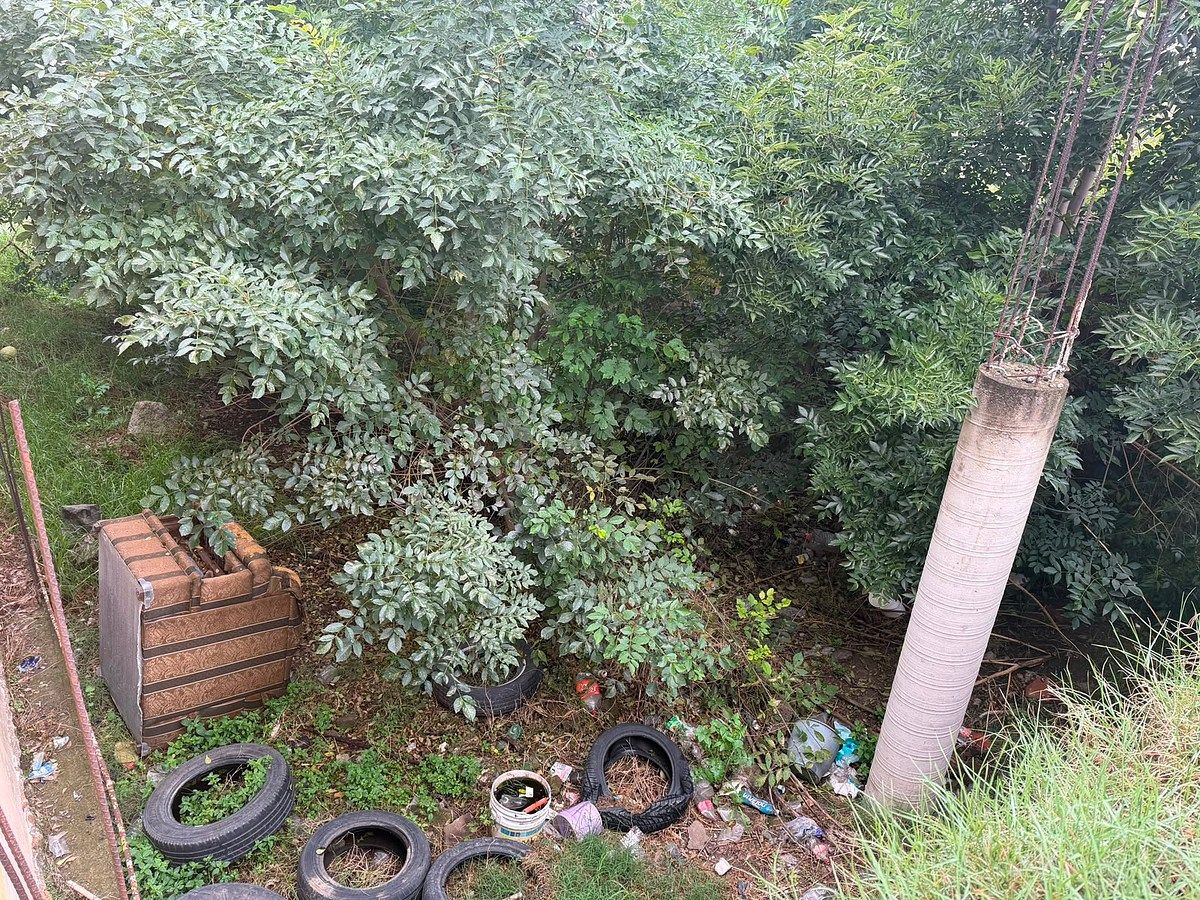 Terreno en San Mateo Tezoquipan Miraflores, Chalco, foto 9 de 12