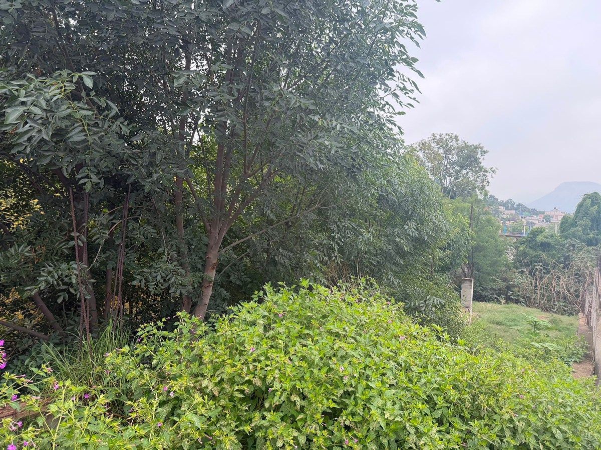 Terreno en San Mateo Tezoquipan Miraflores, Chalco, foto 10 de 12