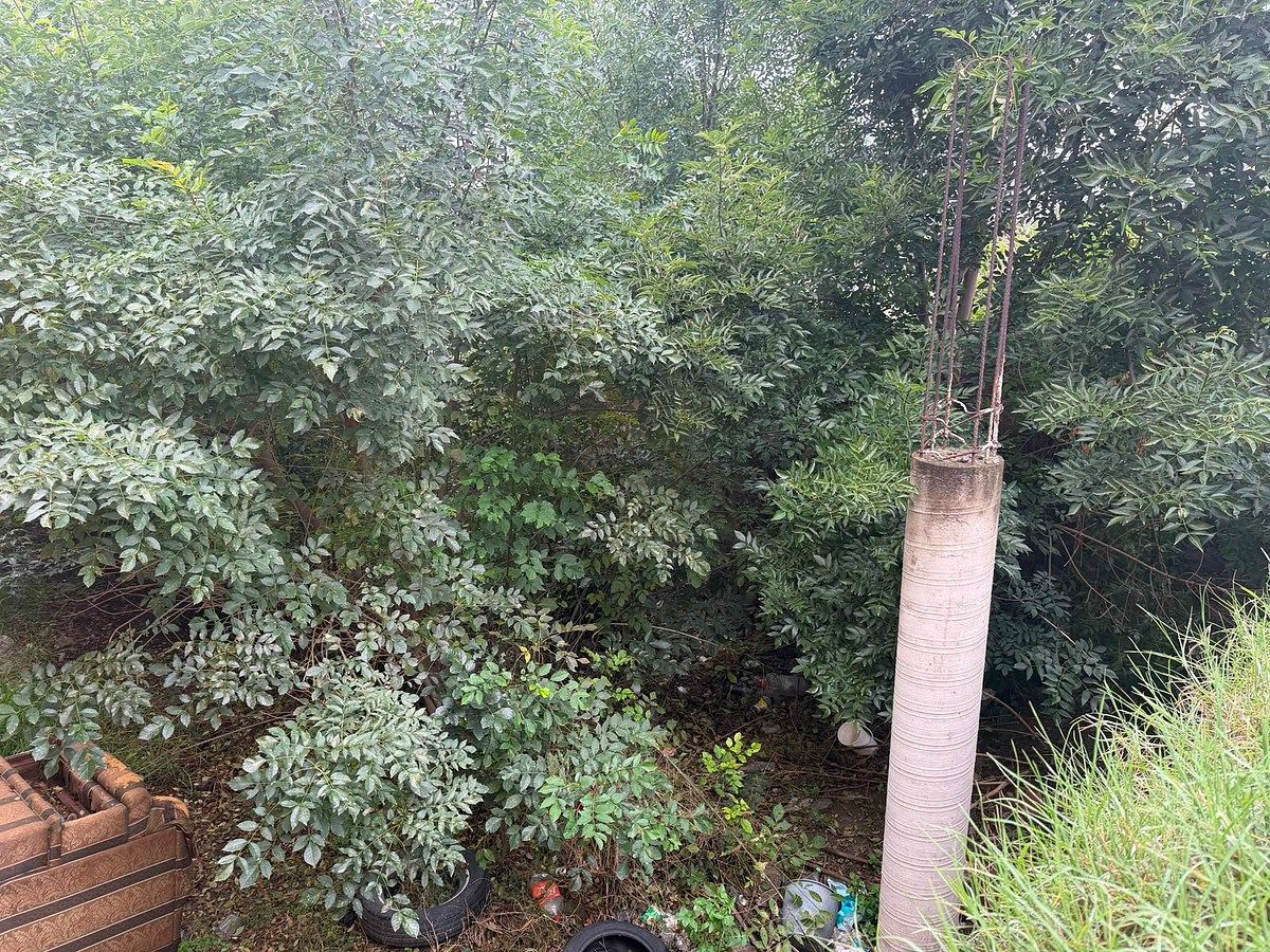 Terreno en San Mateo Tezoquipan Miraflores, Chalco, foto 11 de 12