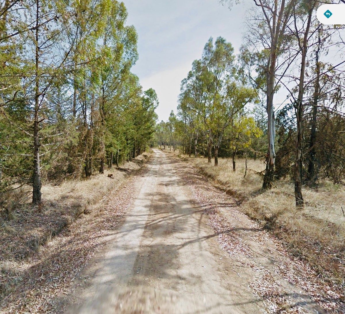 Rancho en San Miguel Dehetí, Amealco de Bonfil, foto 20 de 24