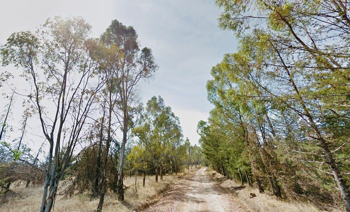 Rancho en San Miguel Dehetí, Amealco de Bonfil, foto 22 de 24