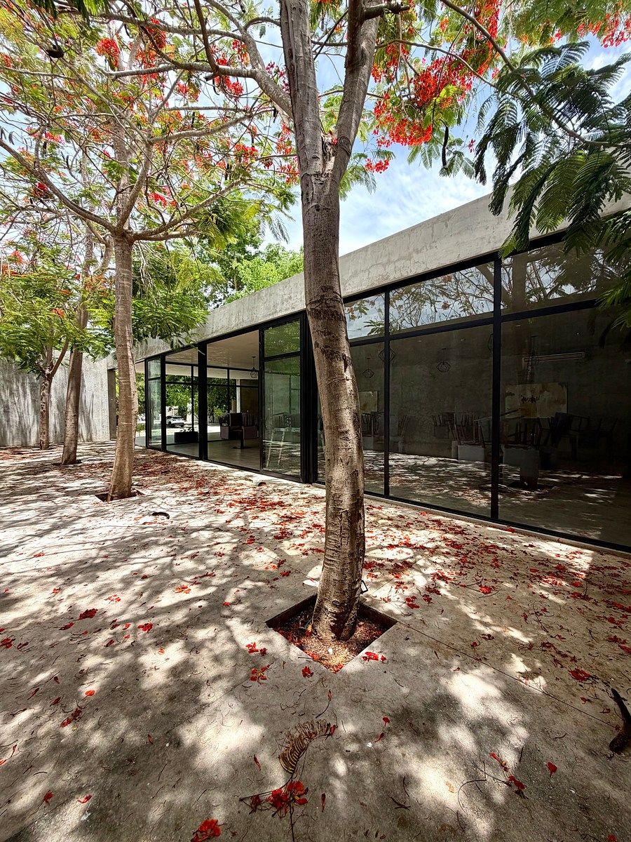 Casa en Cholul, Mérida, foto 16 de 18