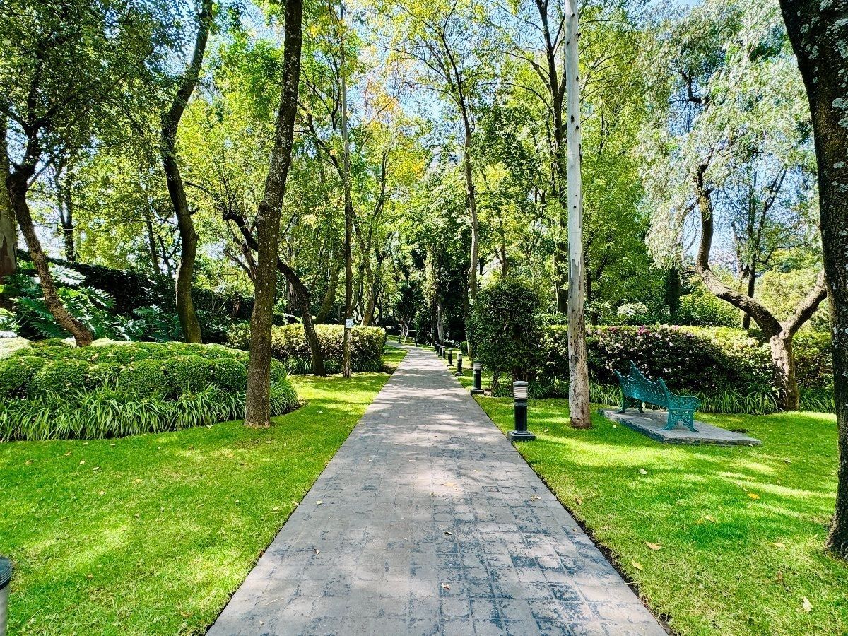 Departamento en Lomas de Chapultepec I Sección, Miguel Hidalgo, foto 31 de 32