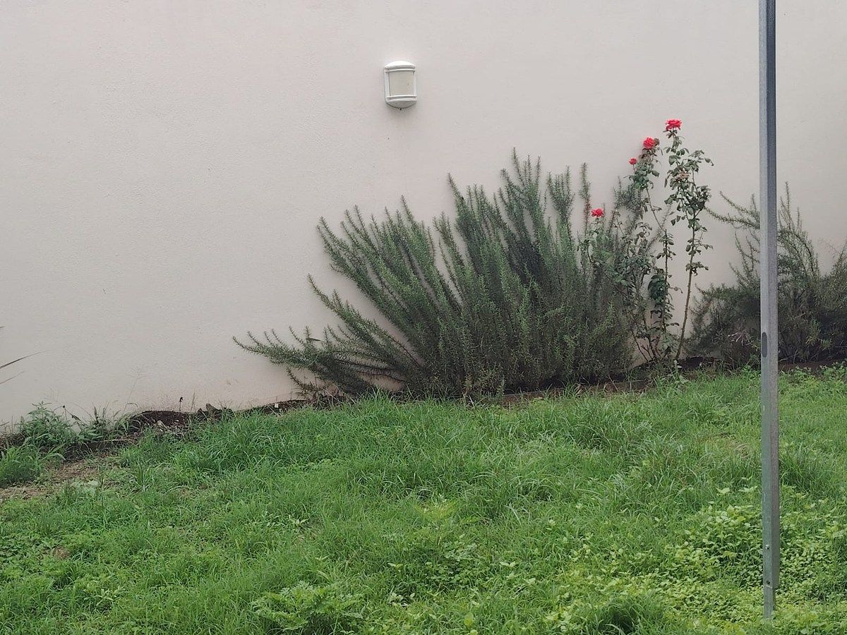 Casa em condomínio fechado em Senderos de Monte Verde, Tlajomulco de Zúñiga, foto 5 de 36