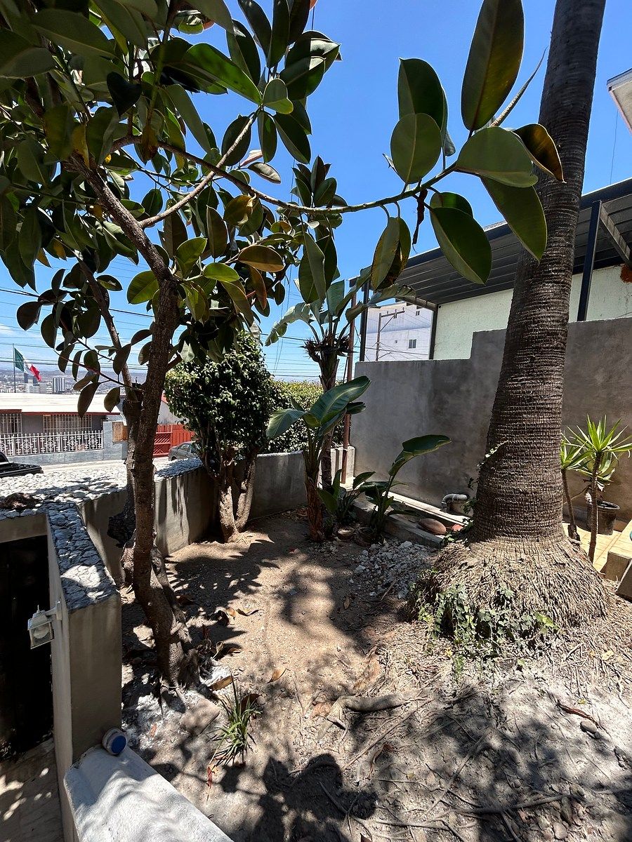 Casa em Juárez, Tijuana, foto 10 de 15