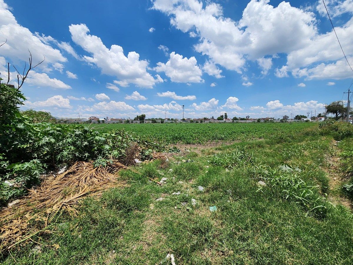 Lote em San Francisco de la Charca (El Nido), Irapuato, foto 6 de 6