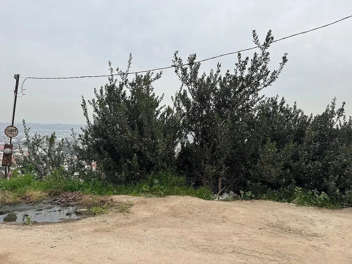 Lote em Burócrata Hipódromo, Tijuana, foto 4 de 8