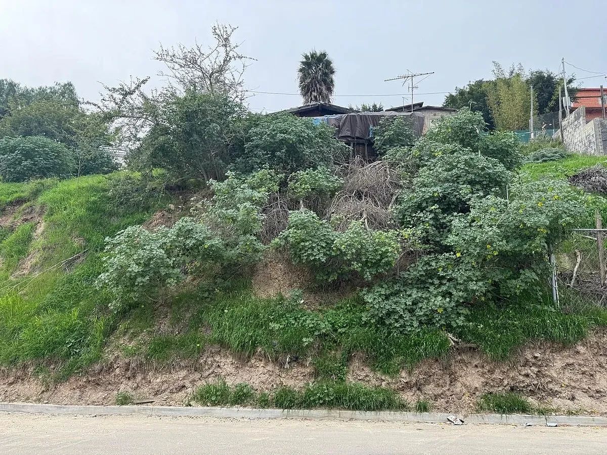 Lote em Burócrata Hipódromo, Tijuana, foto 8 de 8