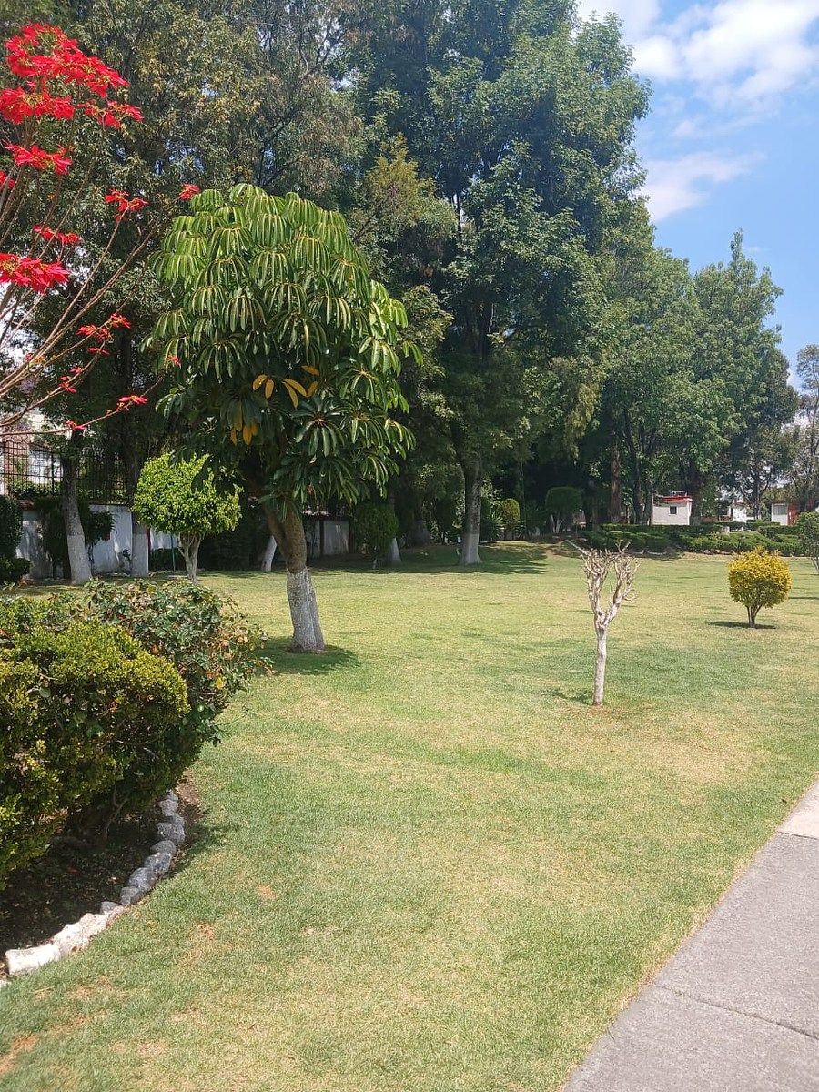 House in Gated Community in Espartaco, Coyoacán, photo 19 of 19