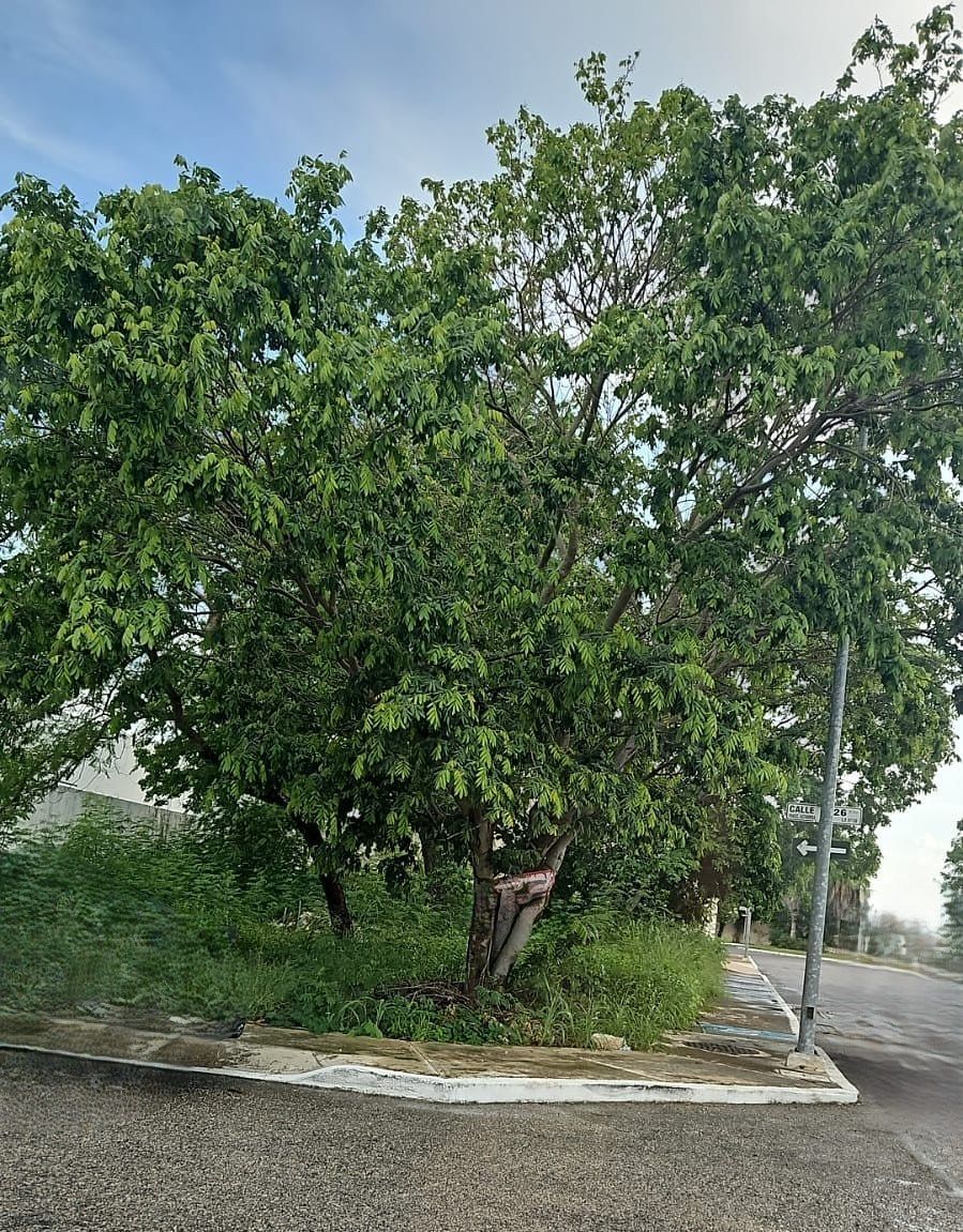 Lote em Altabrisa, Mérida, foto 3 de 5