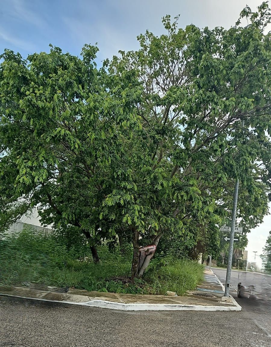 Lote em Altabrisa, Mérida, foto 2 de 5