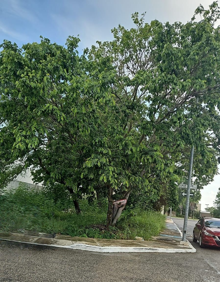 Terreno à venda na esquina dentro da Privada Marsella em Altabrisa, foto 1 de 5