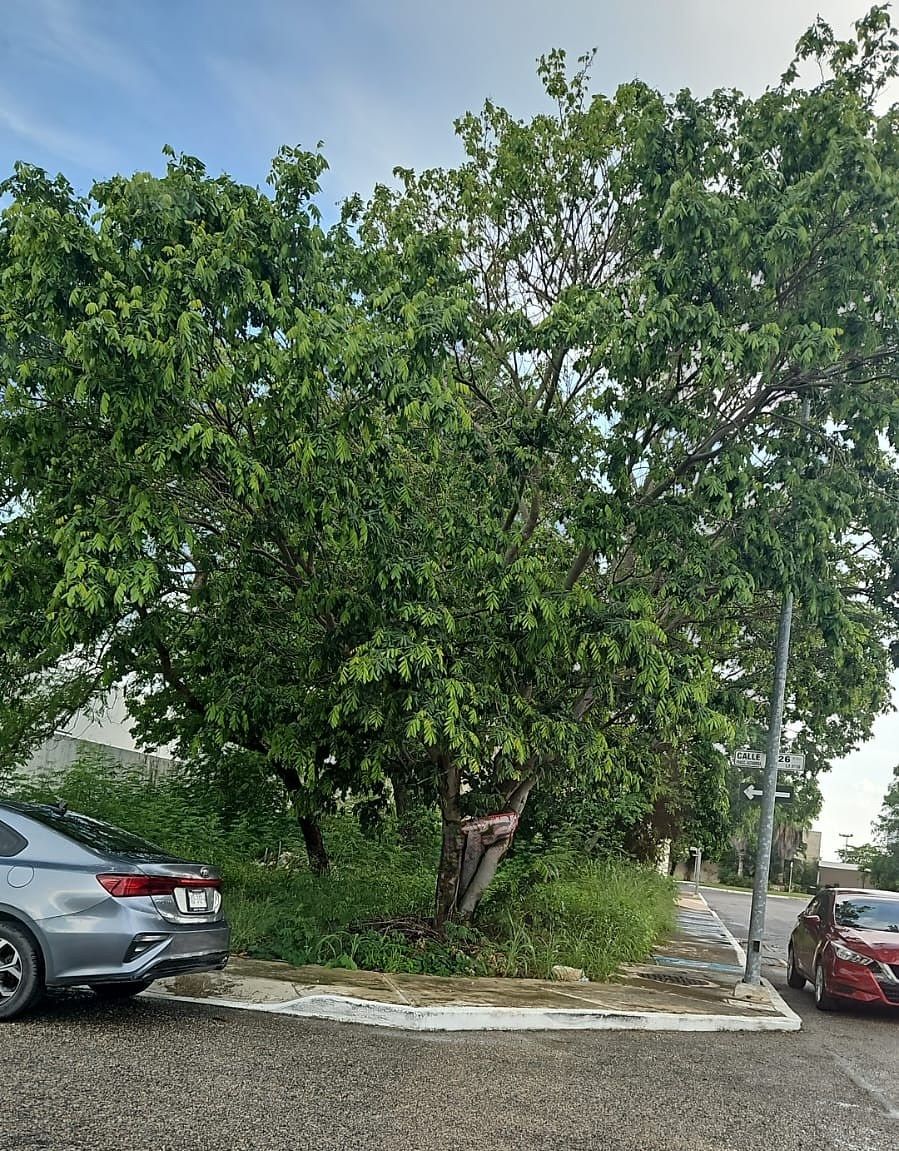 Lote em Altabrisa, Mérida, foto 4 de 5