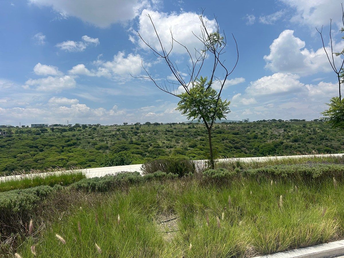 Vistas a la reserva, foto 26 de 30