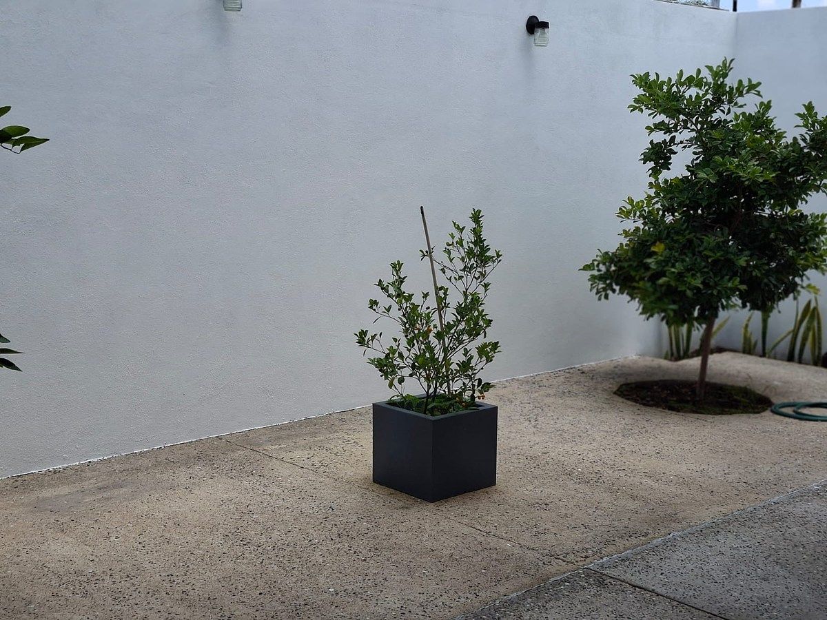 Casa en Juriquilla, Querétaro, foto 25 de 32