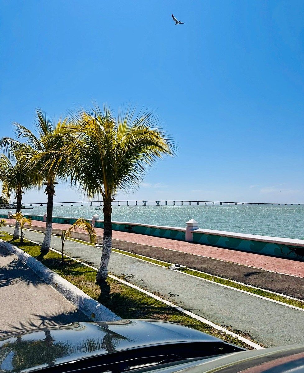 Departamento en Guanal, Carmen, foto 4 de 10