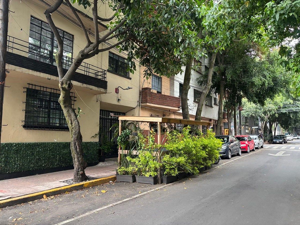 Casa con uso de suelo en San Miguel Chapultepec I Sección, Miguel Hidalgo, foto 5 de 19