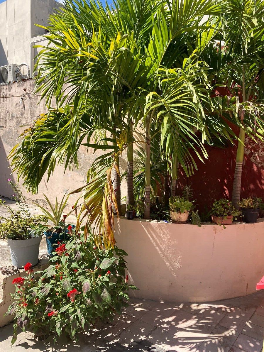 Casa em Huanal, Campeche, foto 14 de 40