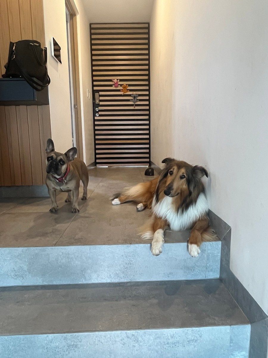 Casa en Zibatá, El Marqués, foto 19 de 19