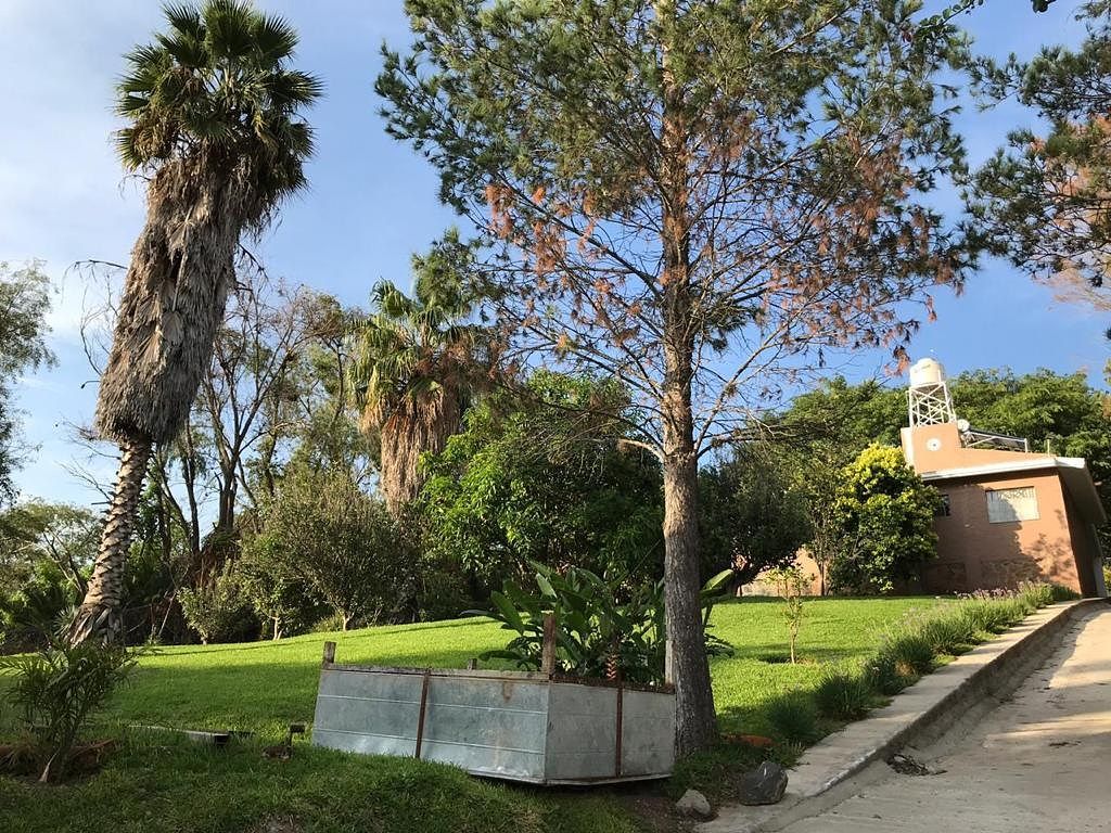 Terreno en San Lorenzo, El Salto, foto 2 de 6